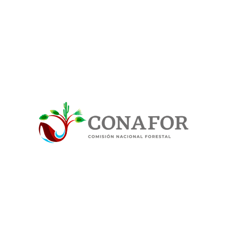 logo_08-dark