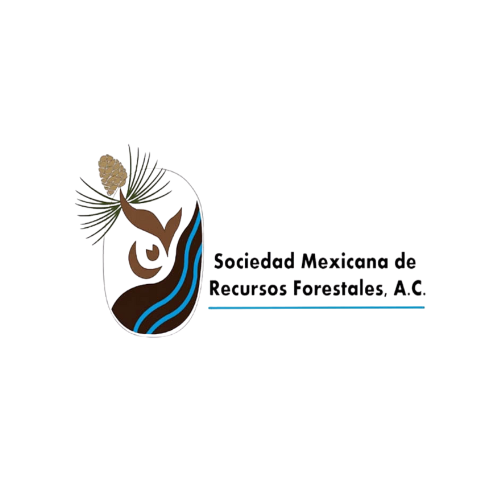 logo_08-dark