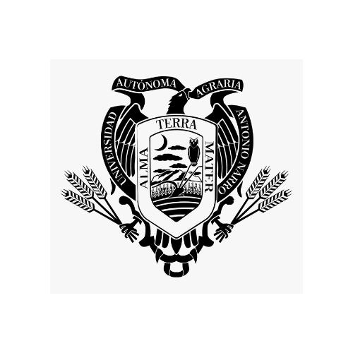logo_08-dark